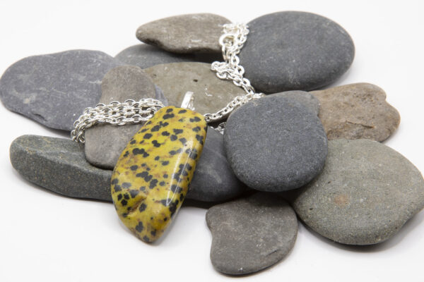 Dalmatian Jasper