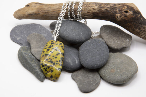 Dalmatian Jasper Necklace